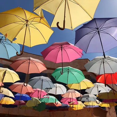 Carlos كالاو سالفاجي